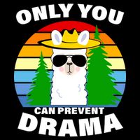 Only You Can Prevent Drama Llama Toddler T-Shirt