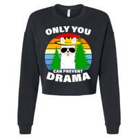 Only You Can Prevent Drama Llama Cropped Pullover Crew