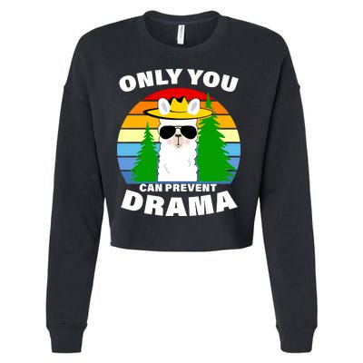 Only You Can Prevent Drama Llama Cropped Pullover Crew