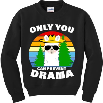 Only You Can Prevent Drama Llama Kids Sweatshirt