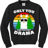 Only You Can Prevent Drama Llama Kids Sweatshirt