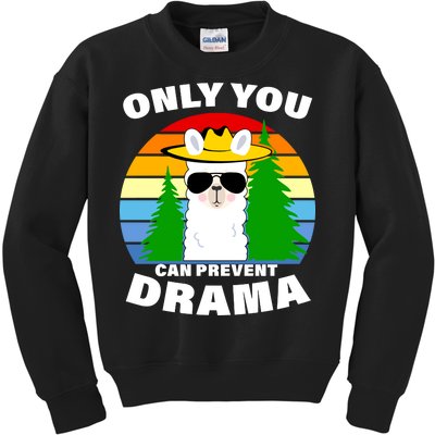 Only You Can Prevent Drama Llama Kids Sweatshirt