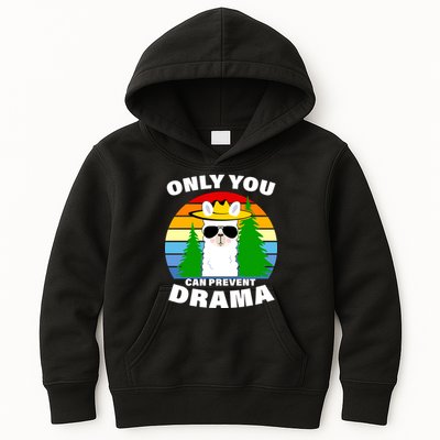 Only You Can Prevent Drama Llama Kids Hoodie
