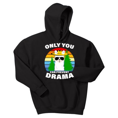 Only You Can Prevent Drama Llama Kids Hoodie