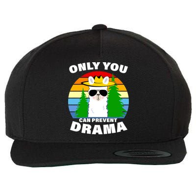 Only You Can Prevent Drama Llama Wool Snapback Cap