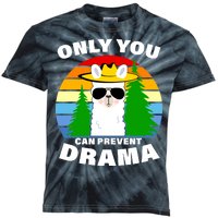 Only You Can Prevent Drama Llama Kids Tie-Dye T-Shirt