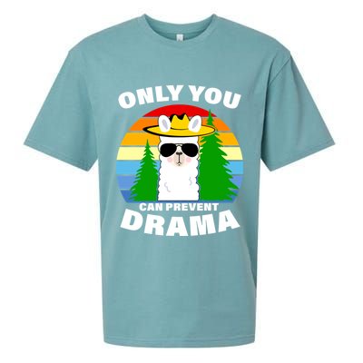Only You Can Prevent Drama Llama Sueded Cloud Jersey T-Shirt