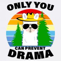 Only You Can Prevent Drama Llama Garment-Dyed Sweatshirt