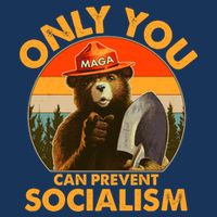 Only You Can Prevent Socialism Vintage Beanie