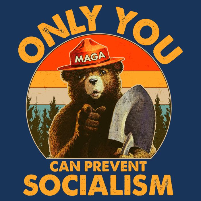 Only You Can Prevent Socialism Vintage Beanie