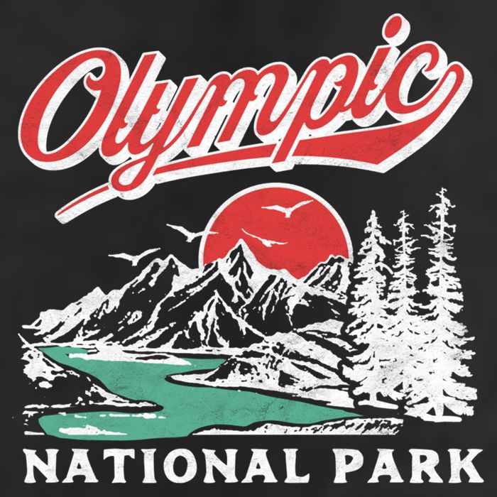 Olympic National Park Retro 80's Mountains Graphic Adult Drive Performance Visor