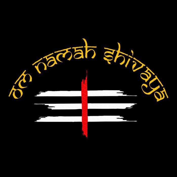 Om Namah Shivaya Tripundra Symbol Of Shiva 16 in Basic Backpack