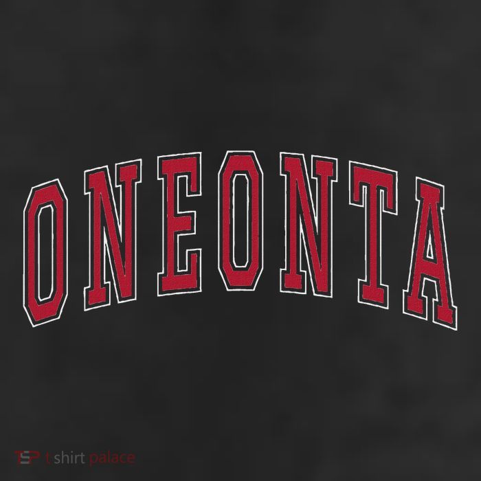 Oneonta New York Souvenir College Style Red Text 11oz C Handle Ceramic Mug