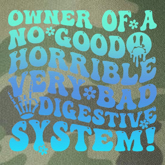 Owner Of A No Good Horrible Very Bad Digestive System Legacy Tie Dye Trucker Hat