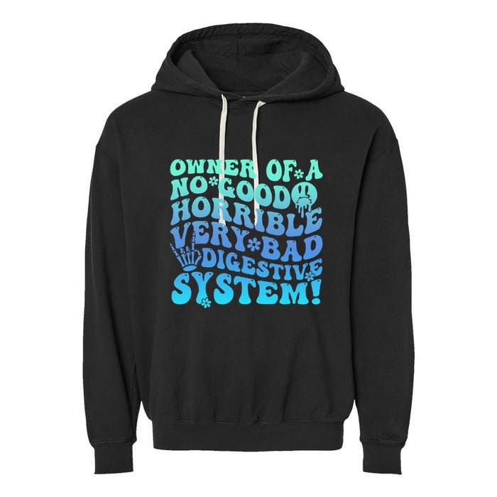 Owner Of A No Good Horrible Very Bad Digestive System Garment-Dyed Fleece Hoodie