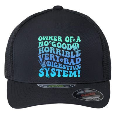 Owner Of A No Good Horrible Very Bad Digestive System Flexfit Unipanel Trucker Cap