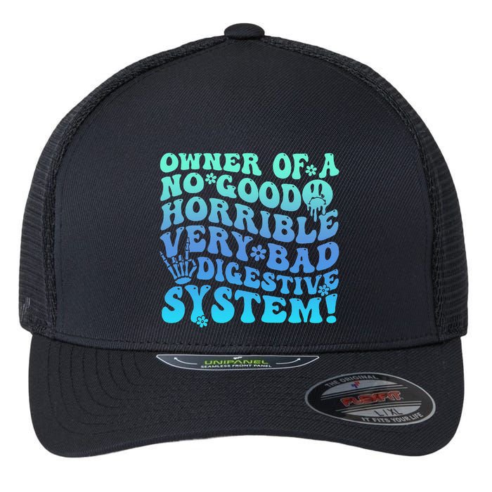 Owner Of A No Good Horrible Very Bad Digestive System Flexfit Unipanel Trucker Cap