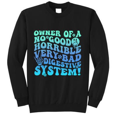 Owner Of A No Good Horrible Very Bad Digestive System Sweatshirt