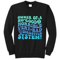 Owner Of A No Good Horrible Very Bad Digestive System Sweatshirt