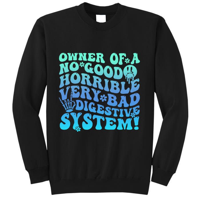 Owner Of A No Good Horrible Very Bad Digestive System Sweatshirt