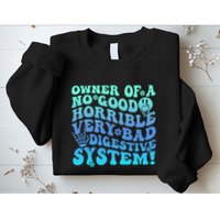 Owner Of A No Good Horrible Very Bad Digestive System Sweatshirt