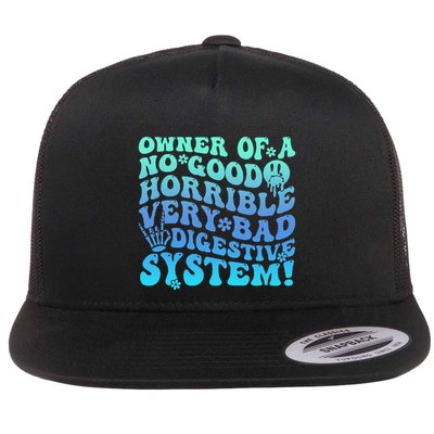 Owner Of A No Good Horrible Very Bad Digestive System Flatbill Hat