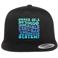 Owner Of A No Good Horrible Very Bad Digestive System Flatbill Hat