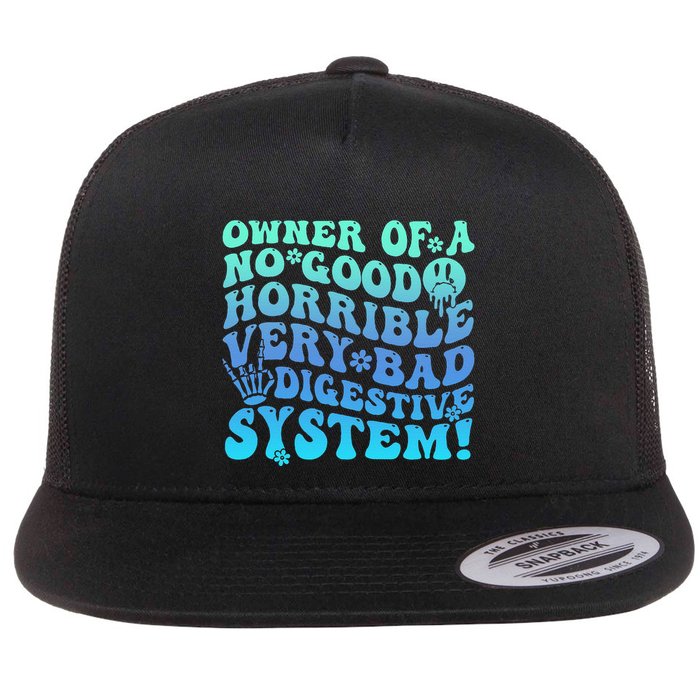 Owner Of A No Good Horrible Very Bad Digestive System Flatbill Hat
