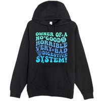 Owner Of A No Good Horrible Very Bad Digestive System Premium Pullover Hoodie