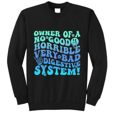 Owner Of A No Good Horrible Very Bad Digestive System Tall Sweatshirt
