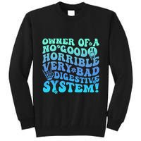 Owner Of A No Good Horrible Very Bad Digestive System Tall Sweatshirt