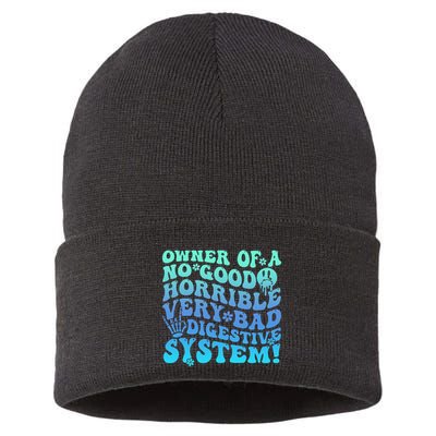 Owner Of A No Good Horrible Very Bad Digestive System Sustainable Knit Beanie