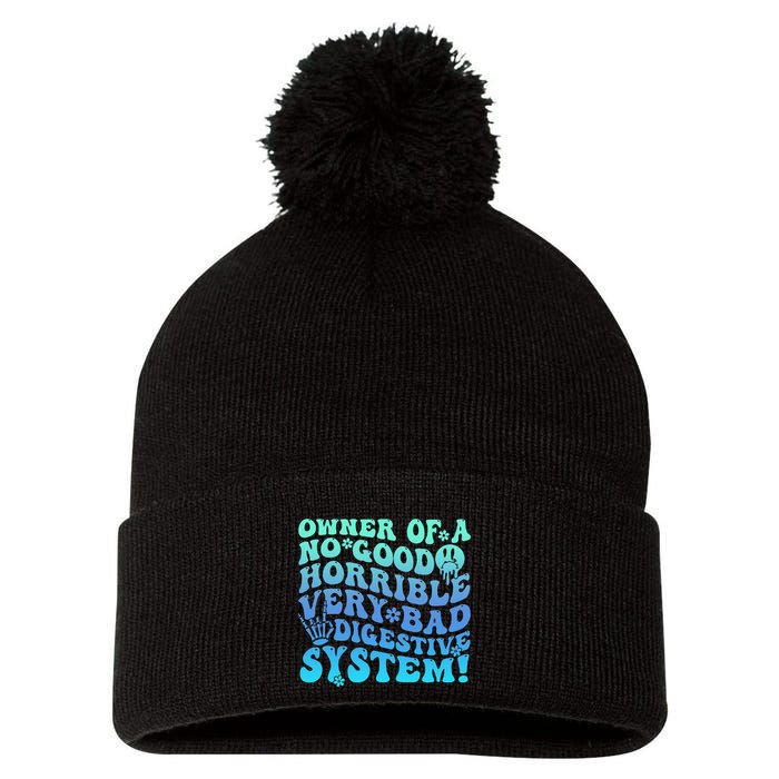 Owner Of A No Good Horrible Very Bad Digestive System Pom Pom 12in Knit Beanie