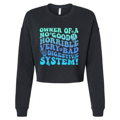 Owner Of A No Good Horrible Very Bad Digestive System Cropped Pullover Crew