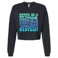 Owner Of A No Good Horrible Very Bad Digestive System Cropped Pullover Crew