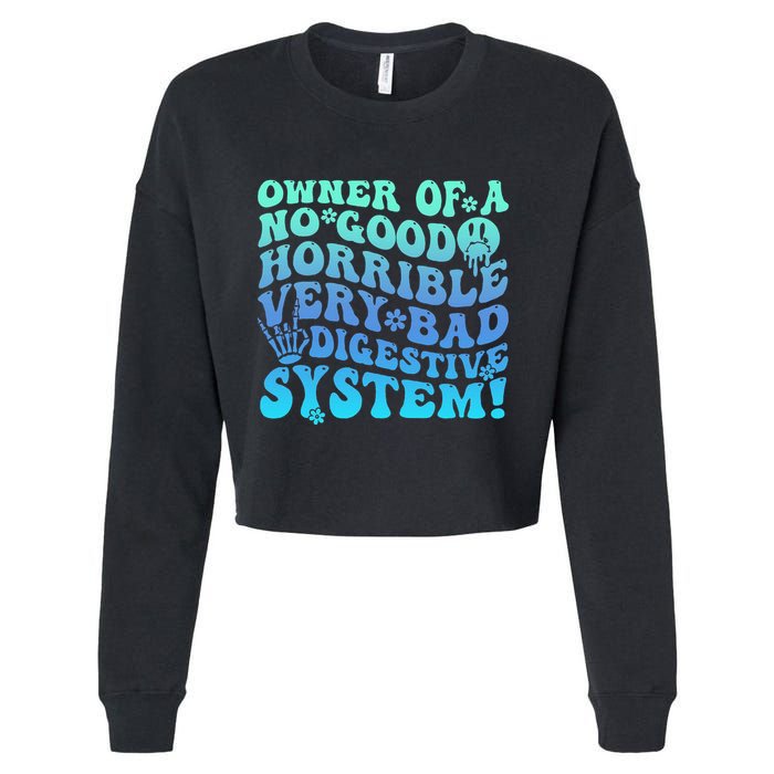 Owner Of A No Good Horrible Very Bad Digestive System Cropped Pullover Crew