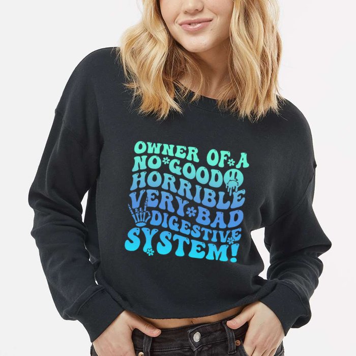 Owner Of A No Good Horrible Very Bad Digestive System Cropped Pullover Crew