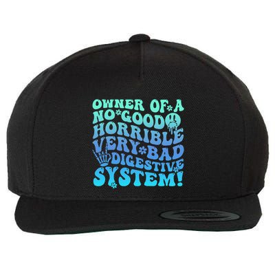 Owner Of A No Good Horrible Very Bad Digestive System Wool Snapback Cap