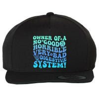 Owner Of A No Good Horrible Very Bad Digestive System Wool Snapback Cap