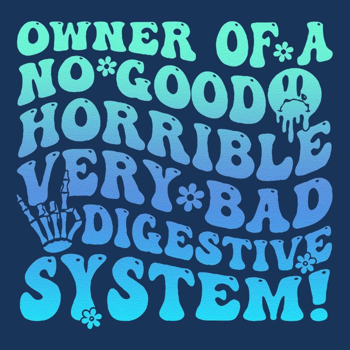 Owner Of A No Good Horrible Very Bad Digestive System Infant Baby Jersey Bodysuit