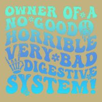 Owner Of A No Good Horrible Very Bad Digestive System Performance Shirt