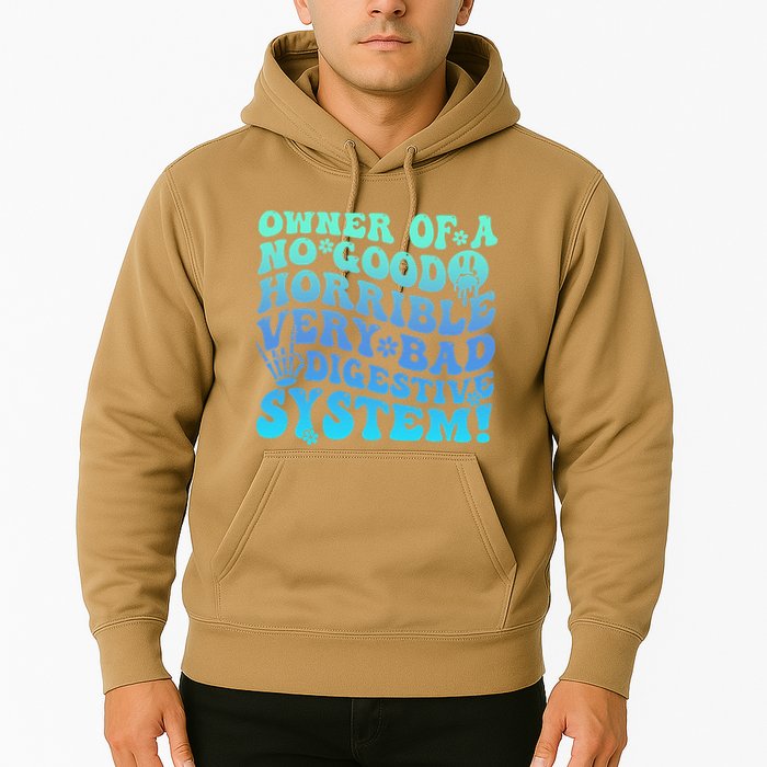 Owner Of A No Good Horrible Very Bad Digestive System Hoodie