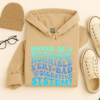 Owner Of A No Good Horrible Very Bad Digestive System Hoodie