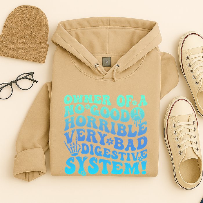 Owner Of A No Good Horrible Very Bad Digestive System Hoodie