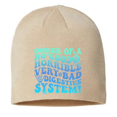 Owner Of A No Good Horrible Very Bad Digestive System Sustainable Beanie