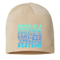 Owner Of A No Good Horrible Very Bad Digestive System Sustainable Beanie