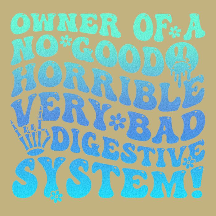 Owner Of A No Good Horrible Very Bad Digestive System Sustainable Beanie
