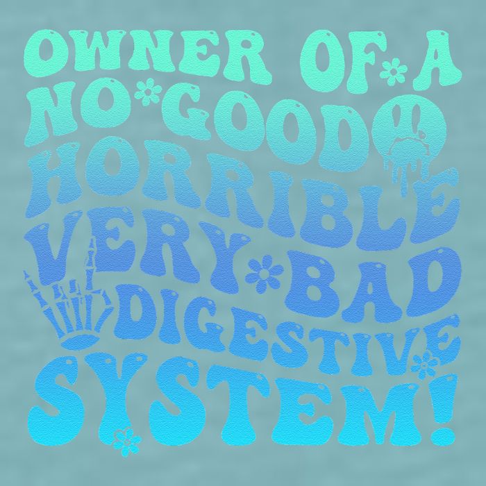 Owner Of A No Good Horrible Very Bad Digestive System Sueded Cloud Jersey T-Shirt