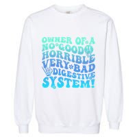 Owner Of A No Good Horrible Very Bad Digestive System Garment-Dyed Sweatshirt