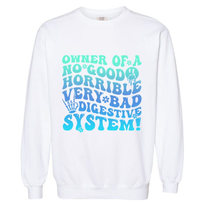 Owner Of A No Good Horrible Very Bad Digestive System Garment-Dyed Sweatshirt